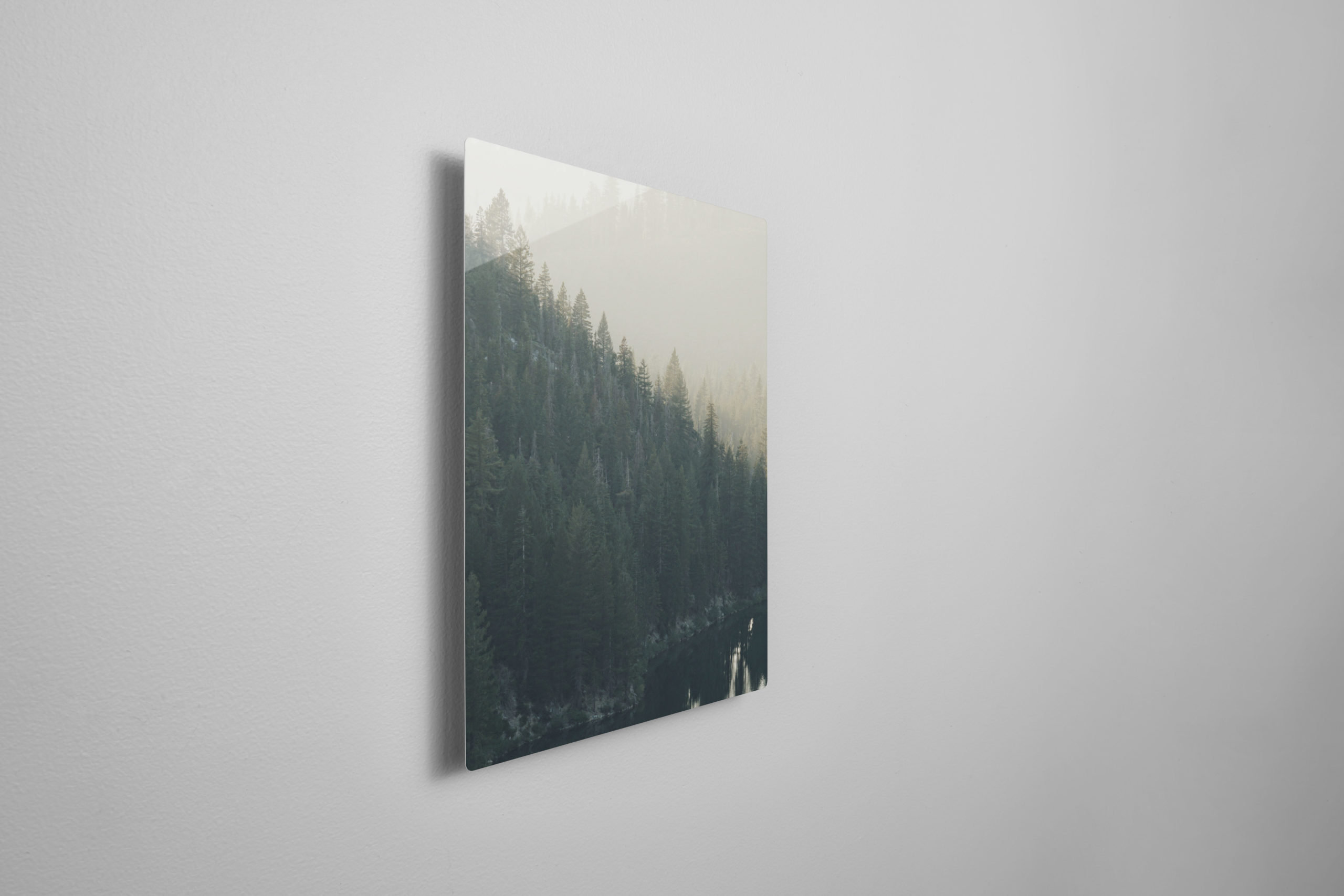 Woodsy metal wall art print mounted on a gray colored wall