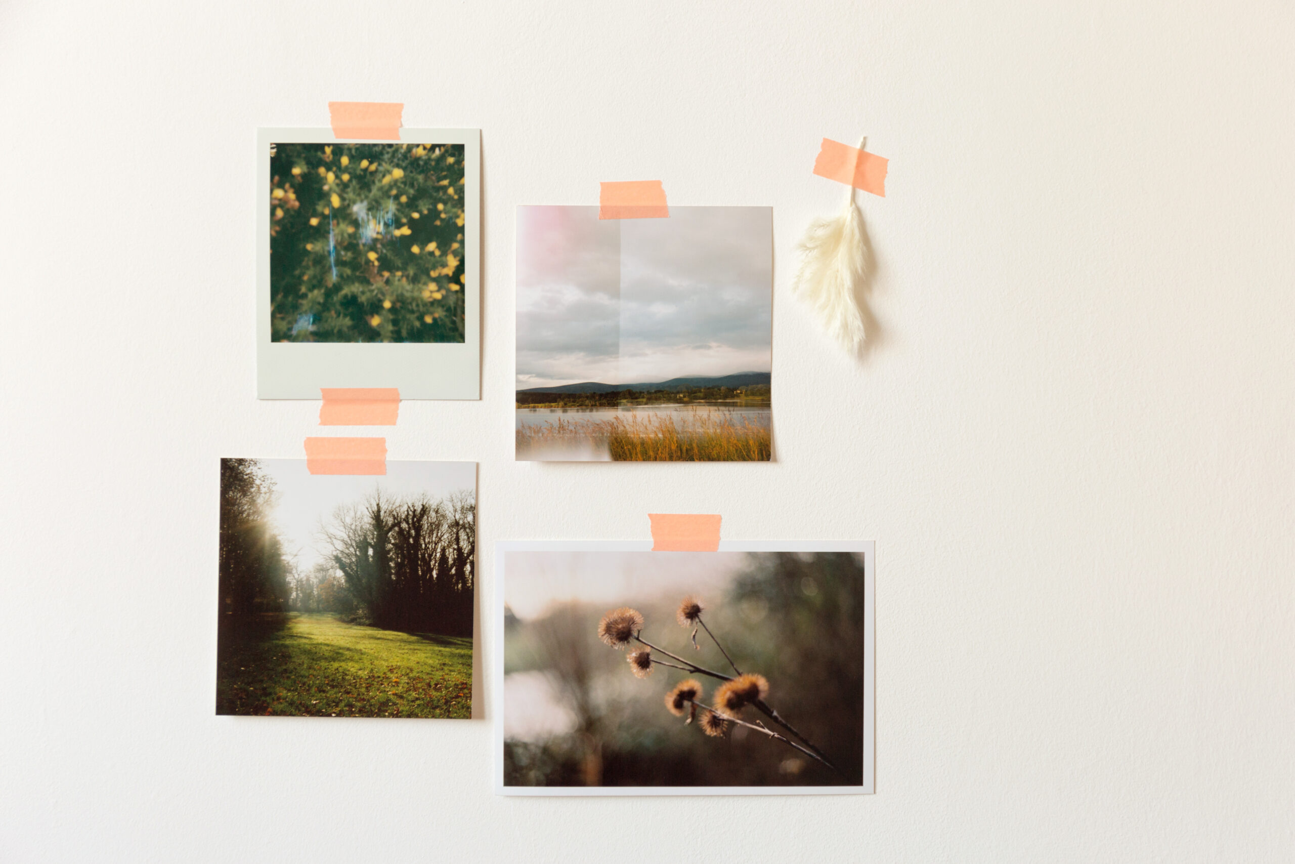 four photos hung on a wall with washi tape