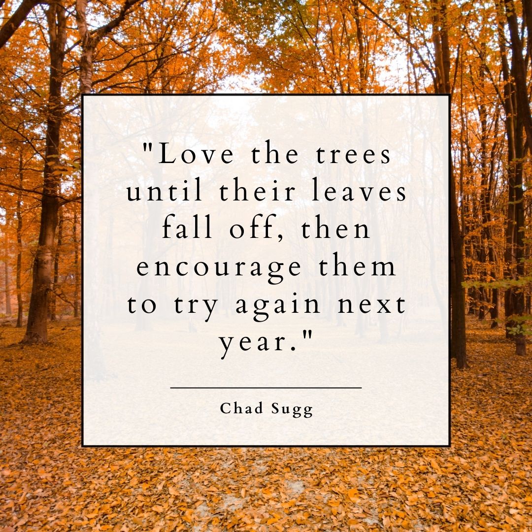 "Love the trees until their leaves fall off, then encourage them to try again next year." — Chad Sugg