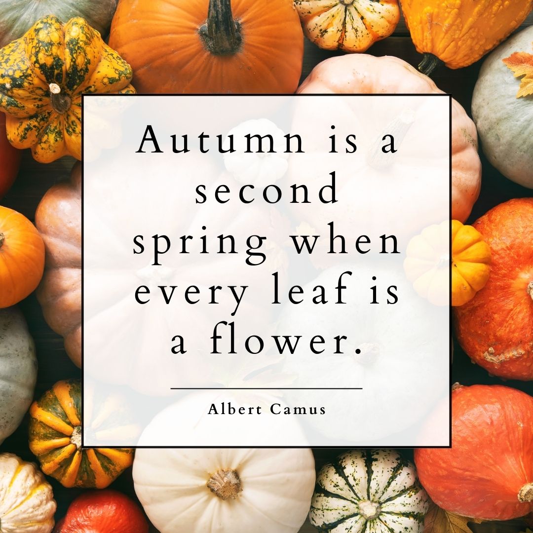 "Autumn is a second spring when every leaf is a flower." - Albert Camus