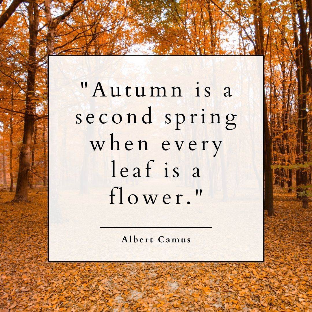 "Autumn is a second spring when every leaf is a flower." – Albert Camus