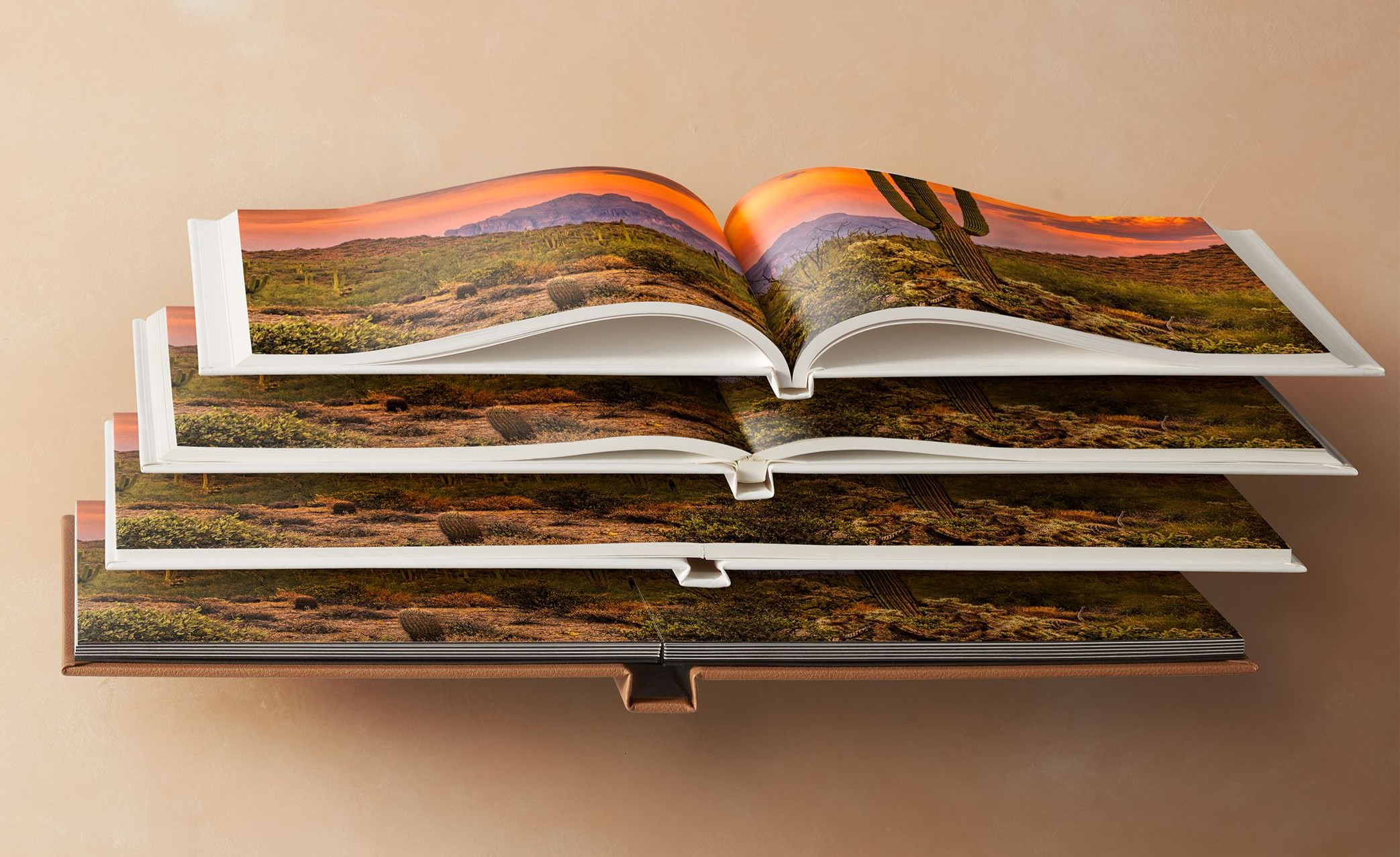 standard photo book, standard layflat photo book, deluxe layflat photo book, flush mount album